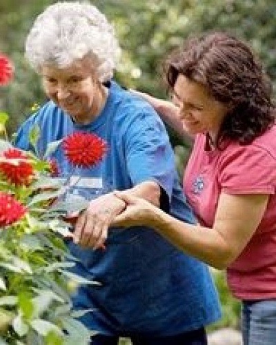 Different types of gardens
Therapeutic Gardens