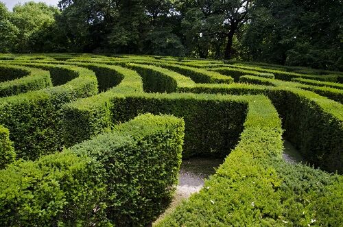 garden maze